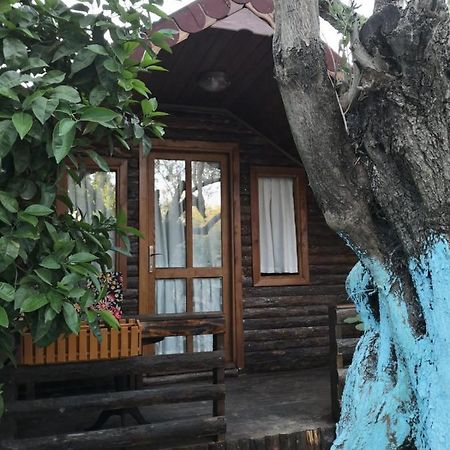 Zeytindagi Bungalow Mehmetalani Exterior foto