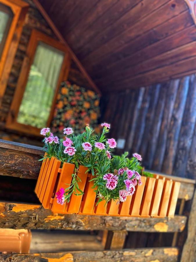 Zeytindagi Bungalow Mehmetalani Exterior foto