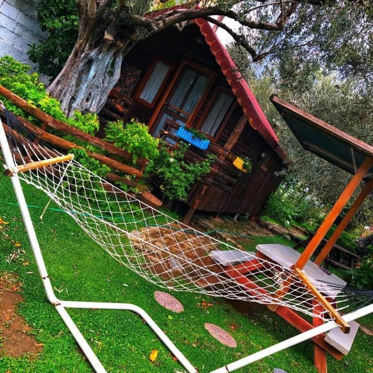 Zeytindagi Bungalow Mehmetalani Exterior foto
