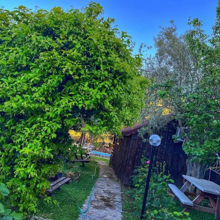 Zeytindagi Bungalow Mehmetalani Exterior foto