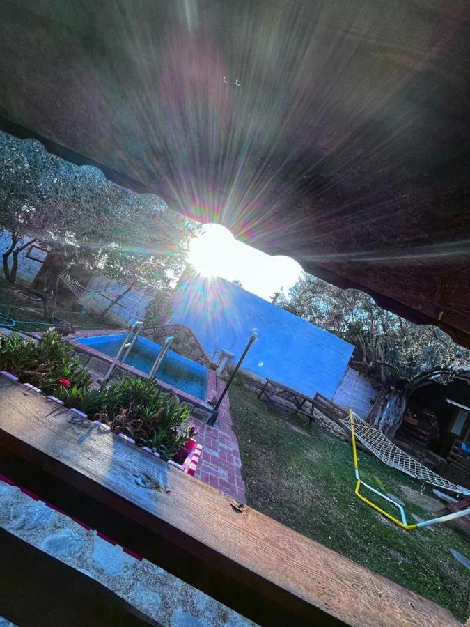 Zeytindagi Bungalow Mehmetalani Exterior foto
