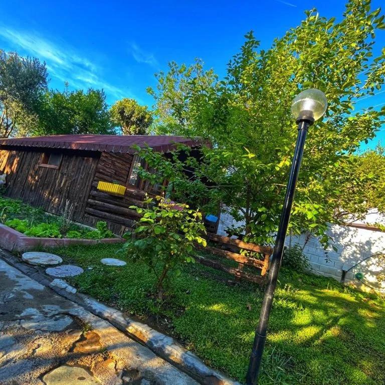 Zeytindagi Bungalow Mehmetalani Exterior foto