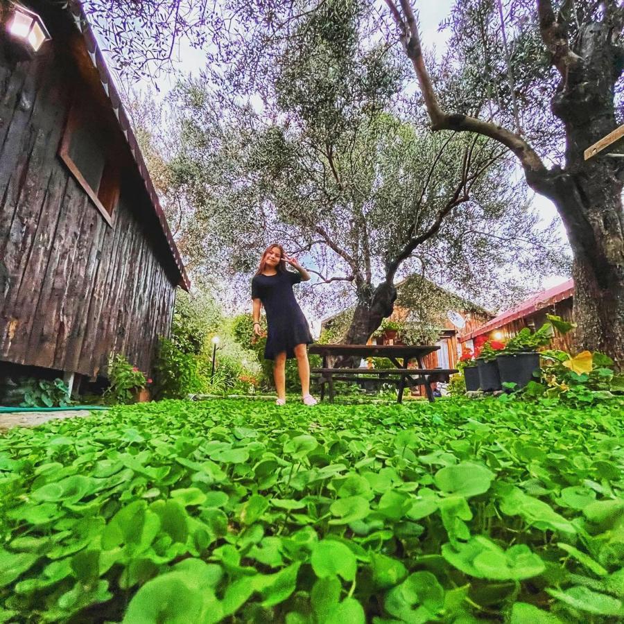 Zeytindagi Bungalow Mehmetalani Exterior foto