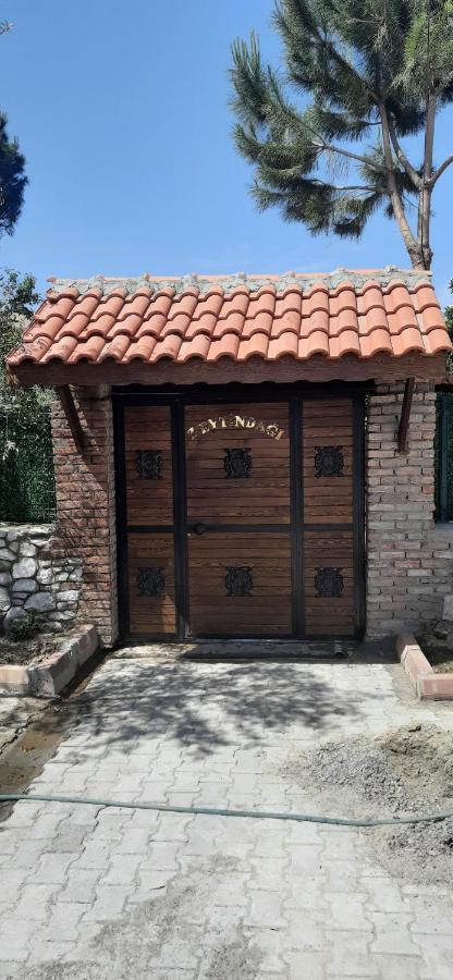 Zeytindagi Bungalow Mehmetalani Exterior foto